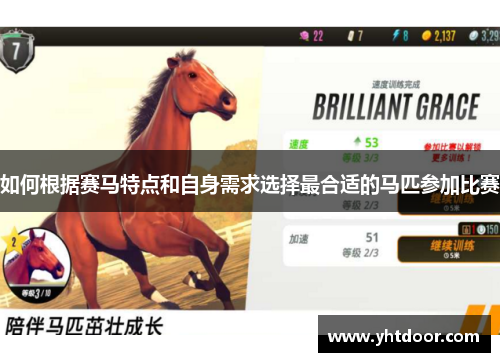 如何根据赛马特点和自身需求选择最合适的马匹参加比赛
